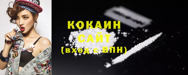 сатива Абаза