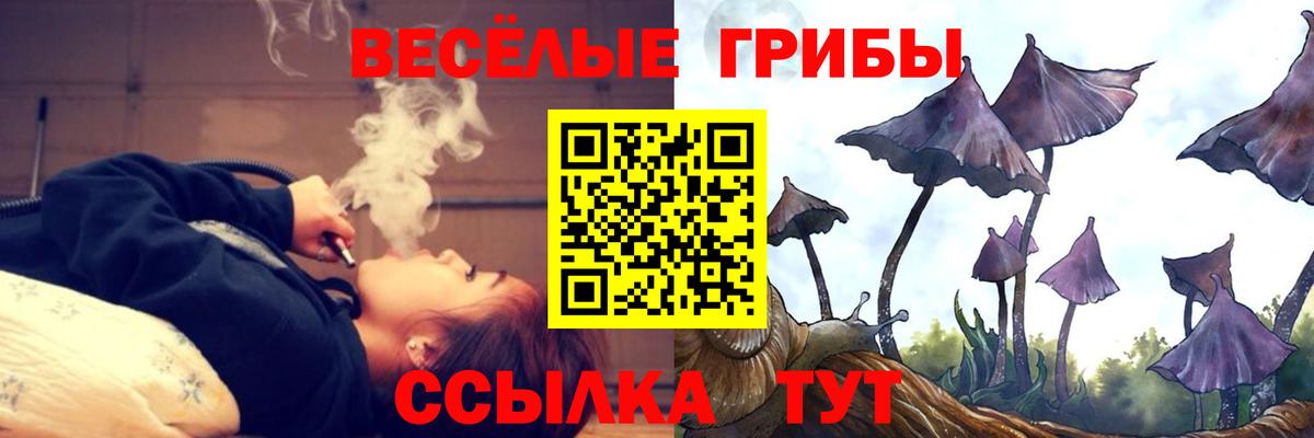 Галлюциногенные грибы Psilocybe  Вход с VPN  Саратов  Псилоцибиновые грибы Cubensis 